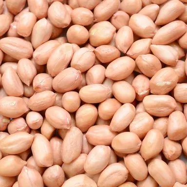 Indian Peanuts